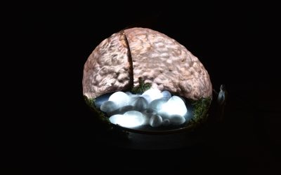 Maquettes d’installation lumineuse